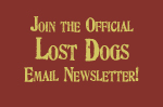 Lost Dogs Newsletter